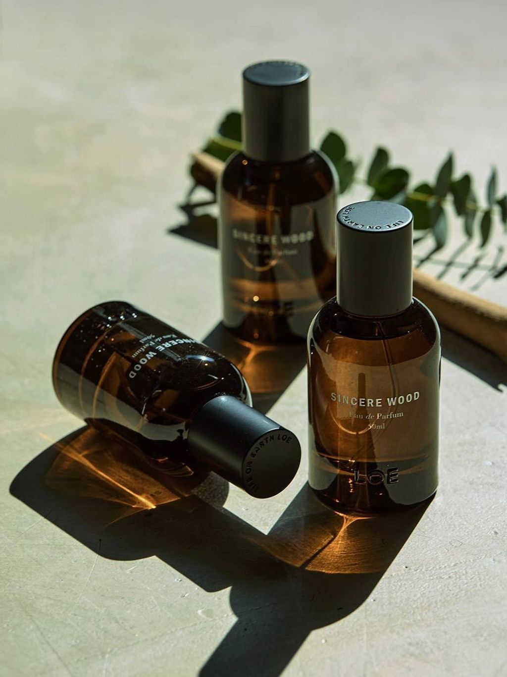 photo_8_2026-03-22_12-58-43