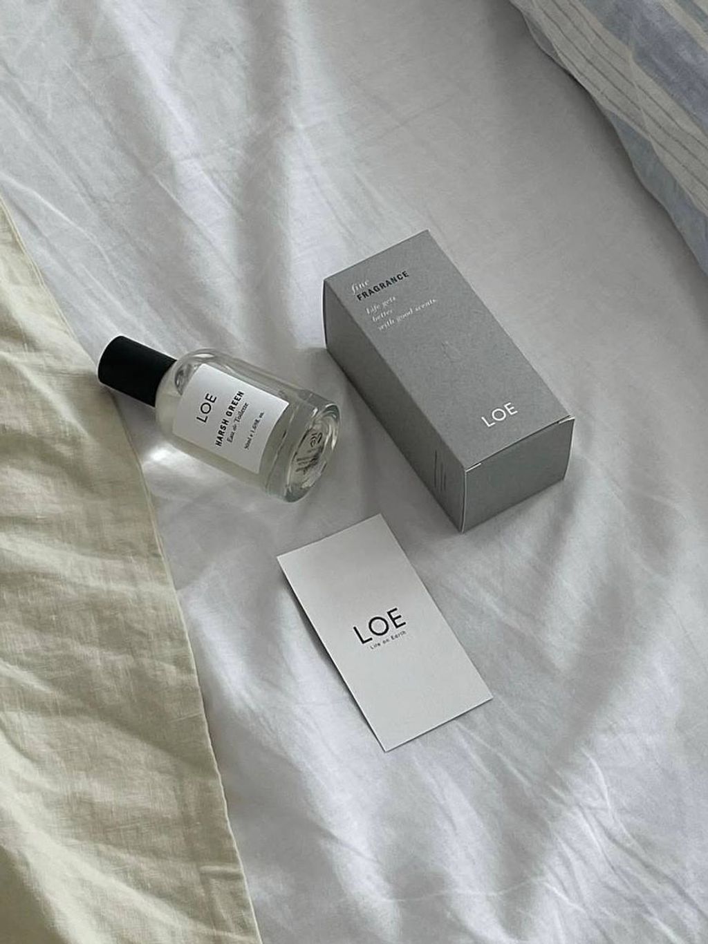 photo_14_2026-03-22_13-00-11