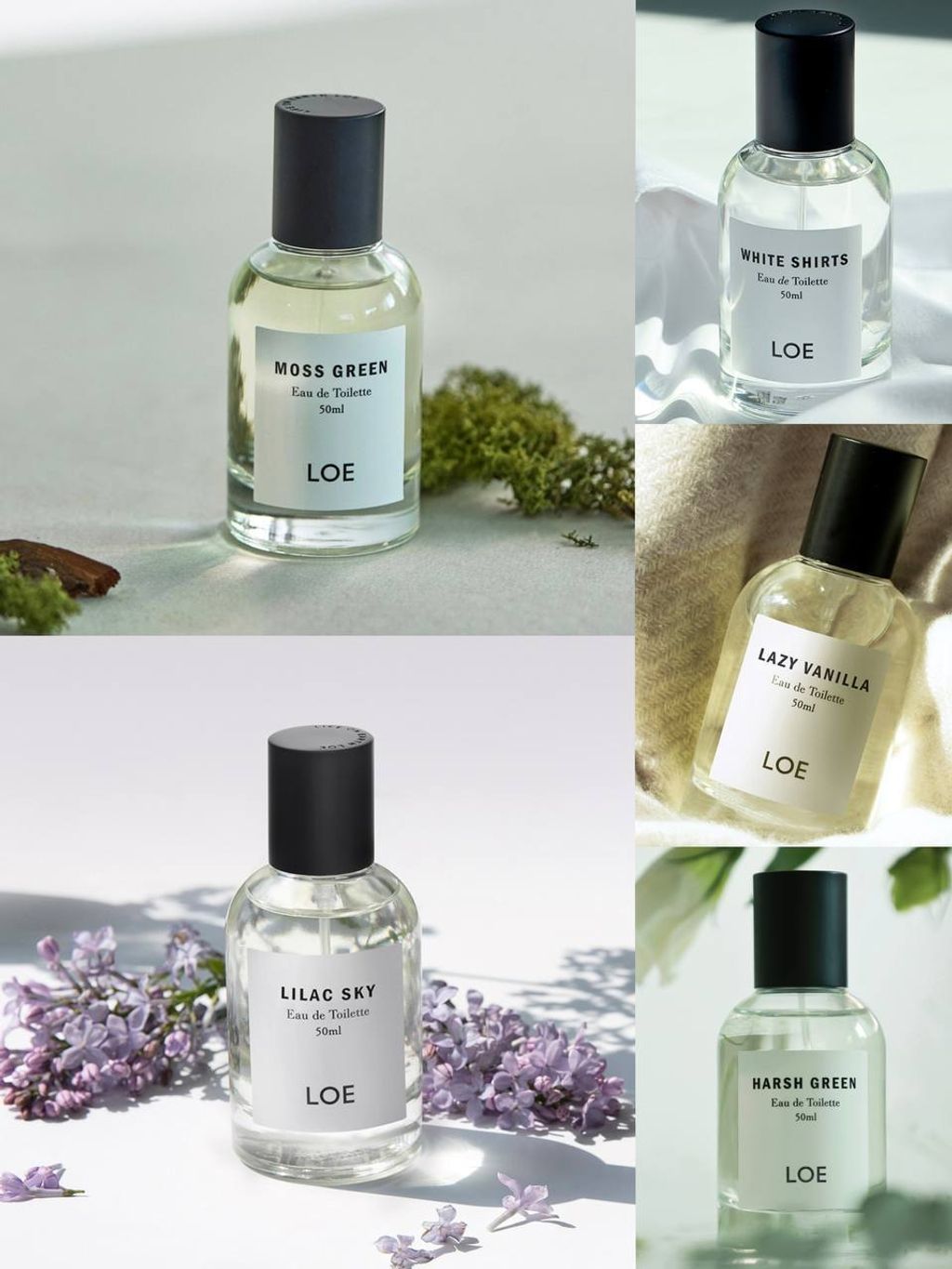 photo_17_2026-03-22_13-00-11