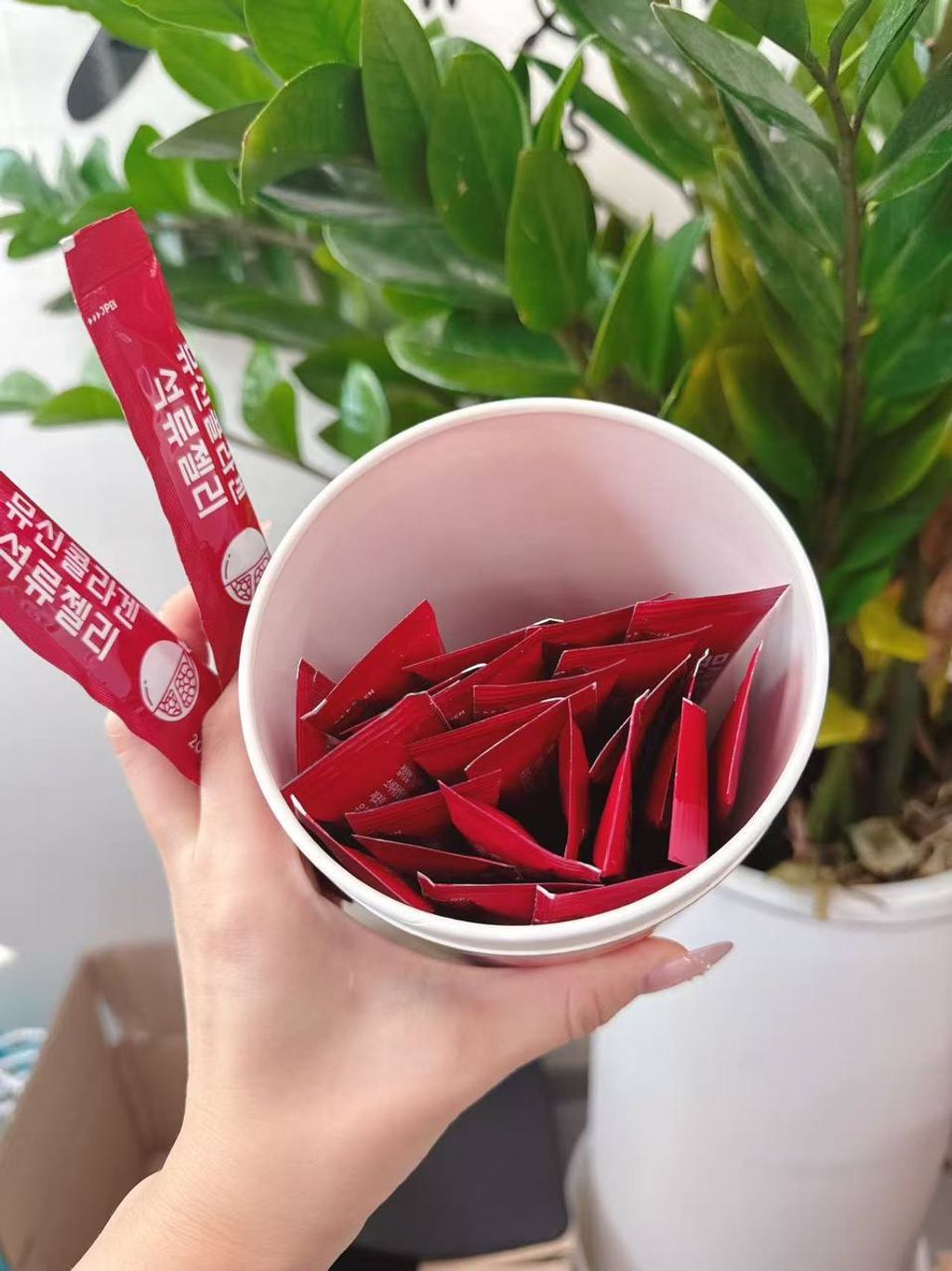 photo_2_2026-03-23_09-10-57