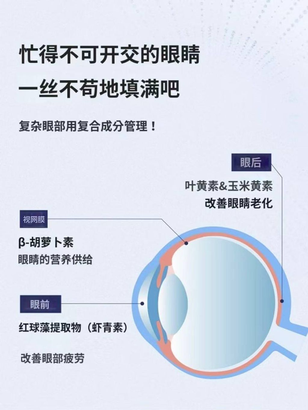 photo_4_2026-03-23_09-16-27