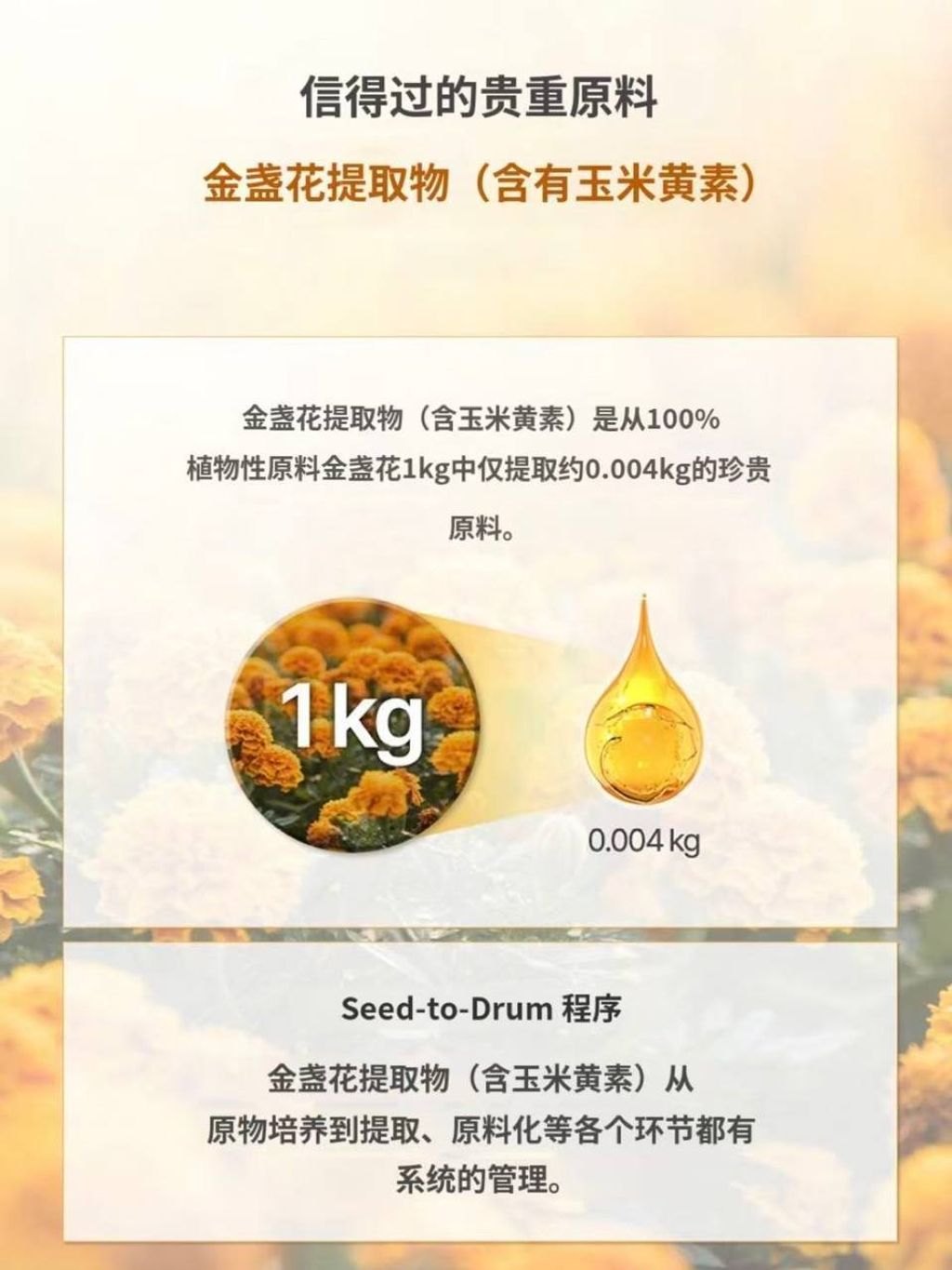 photo_6_2026-03-23_09-16-27