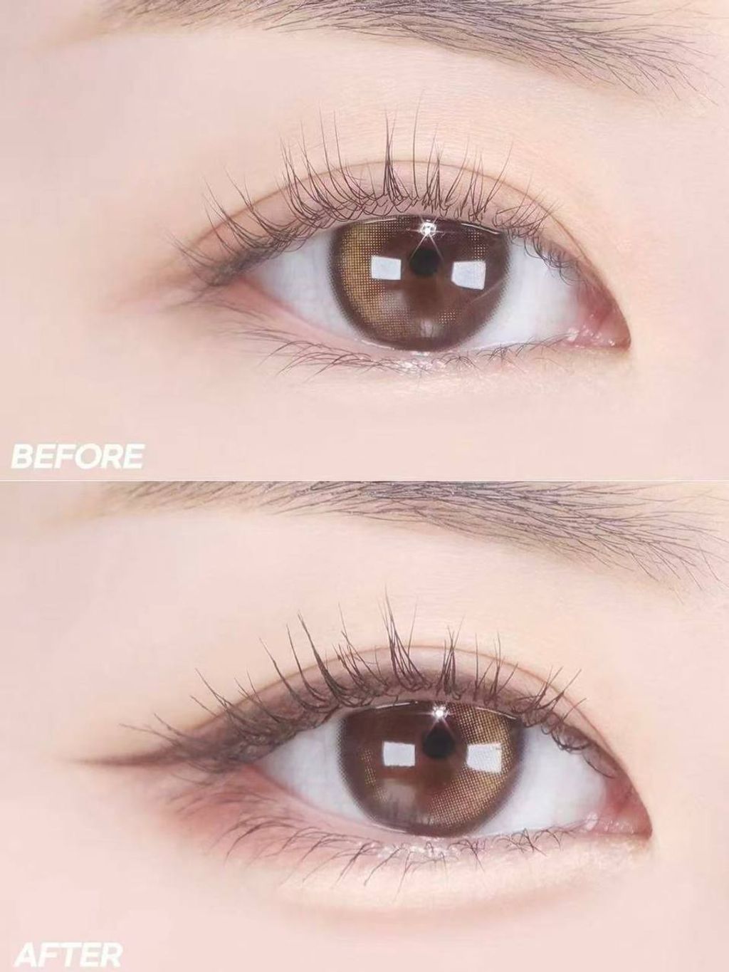 photo_7_2026-03-23_10-26-31