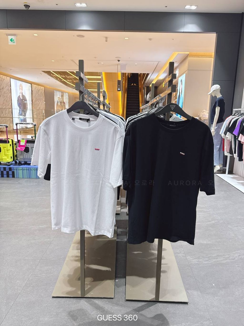 photo_2_2026-03-23_11-16-29