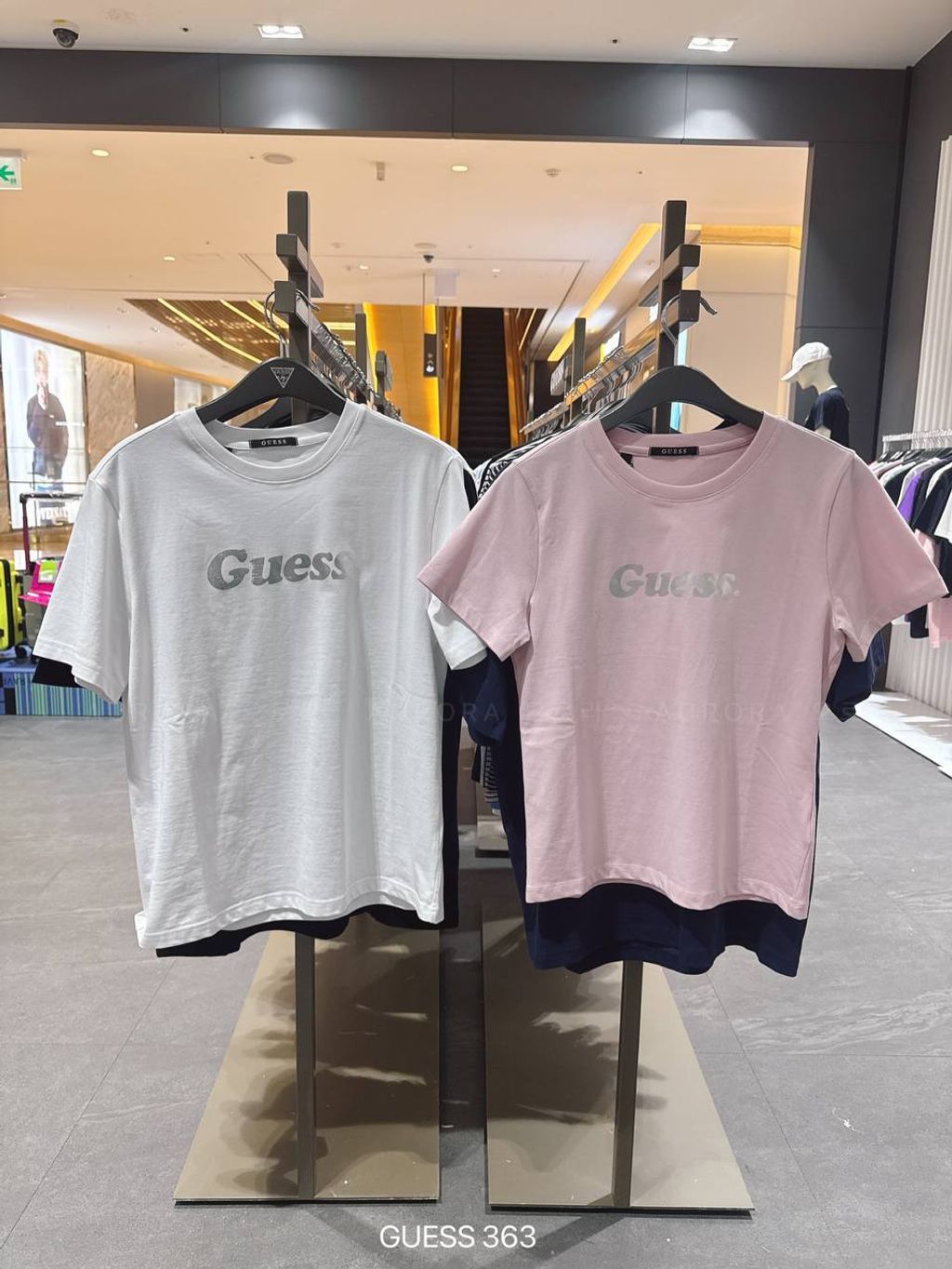 photo_1_2026-03-23_11-20-20