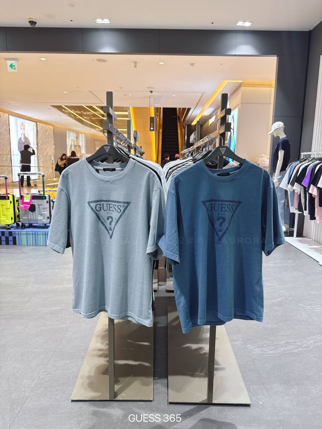 photo_2_2026-03-23_11-22-34