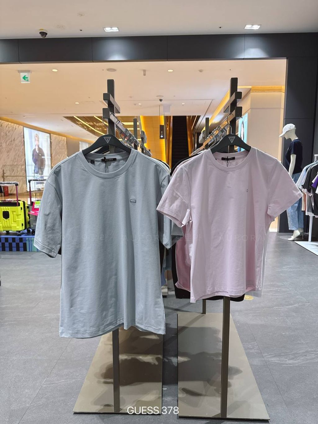 photo_2_2026-03-23_11-31-15