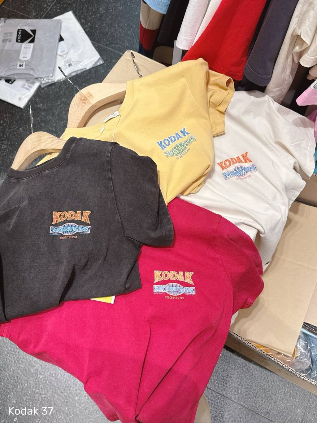 photo_3_2026-03-23_11-36-04