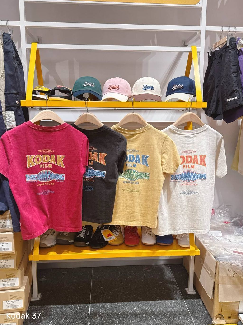 photo_2_2026-03-23_11-36-04