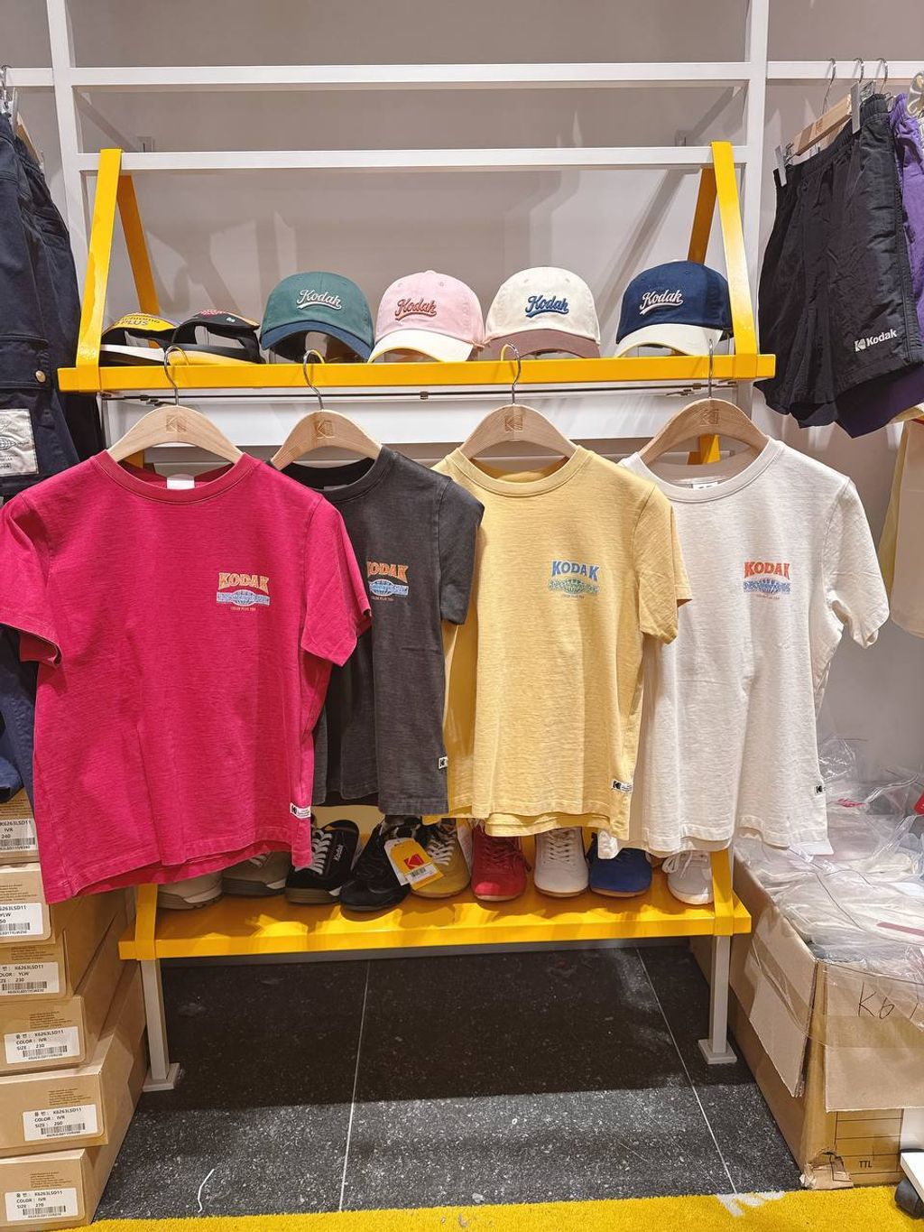 photo_1_2026-03-23_11-36-04