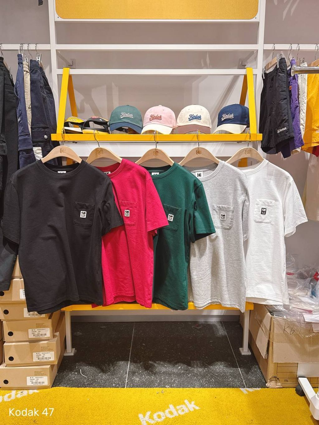 photo_1_2026-03-23_12-04-41