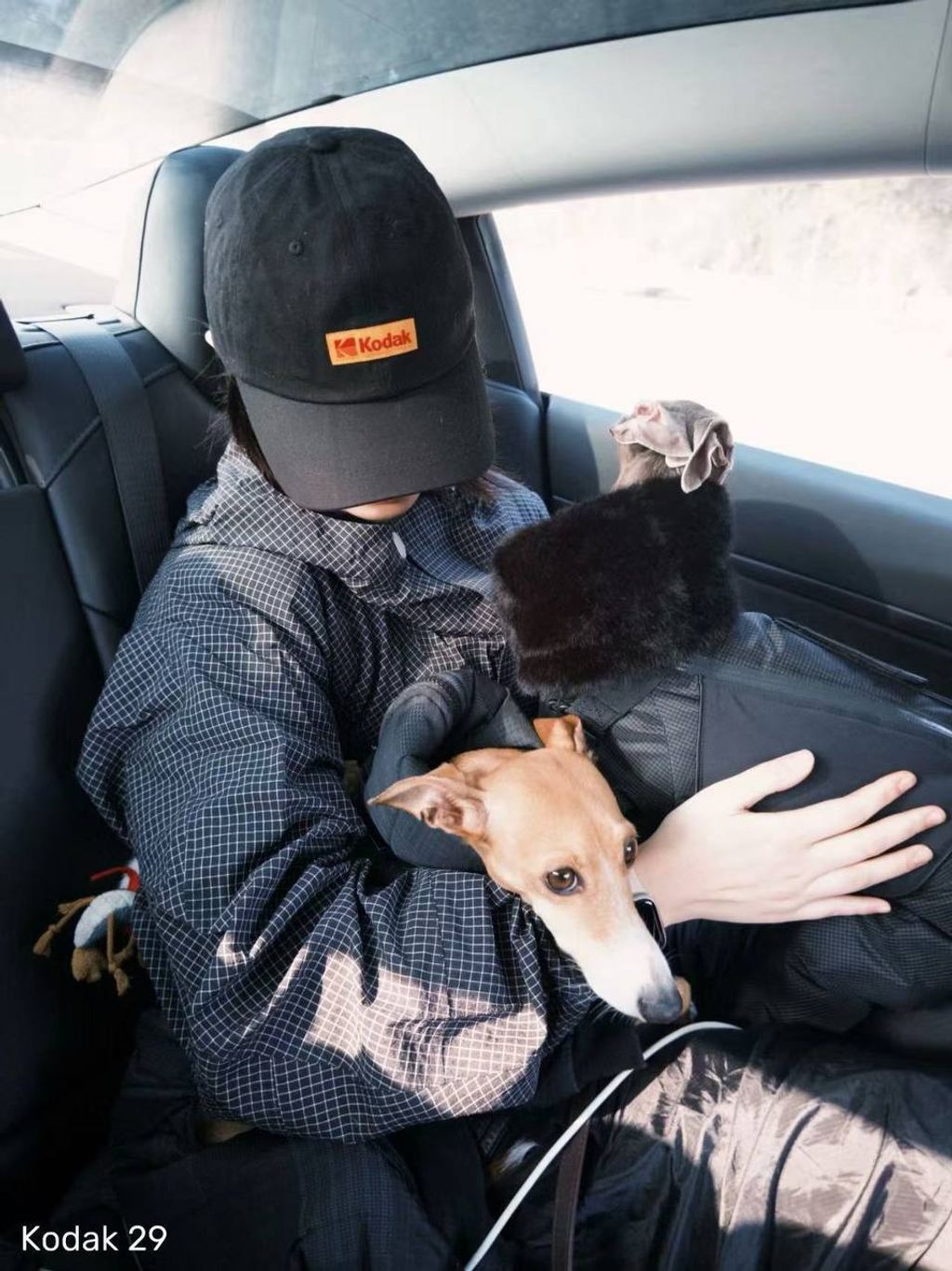 photo_12_2026-03-23_12-36-31