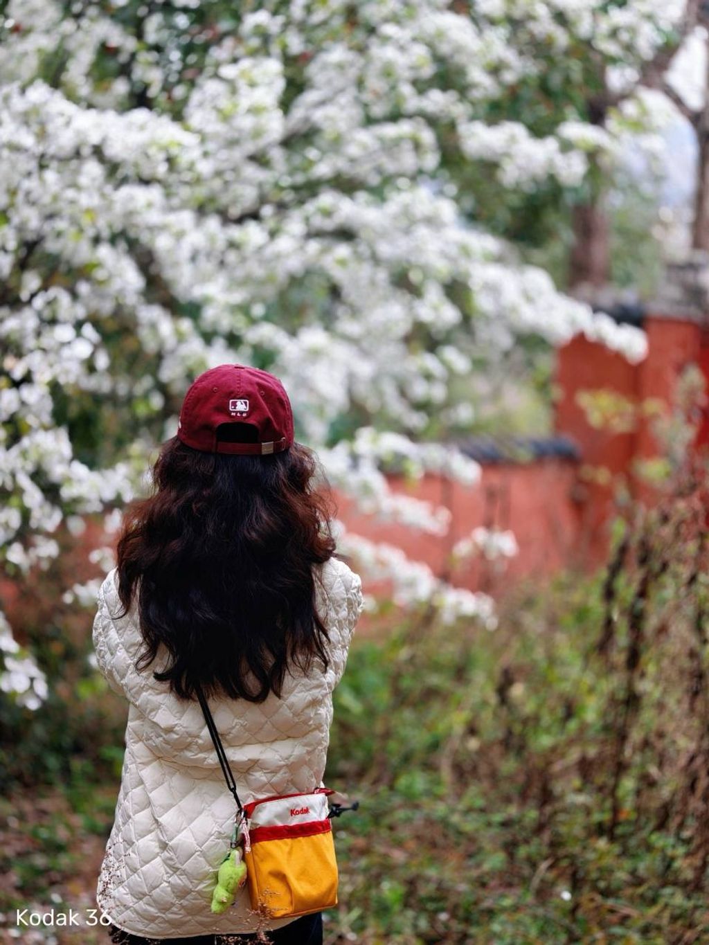 photo_7_2026-03-23_12-39-41