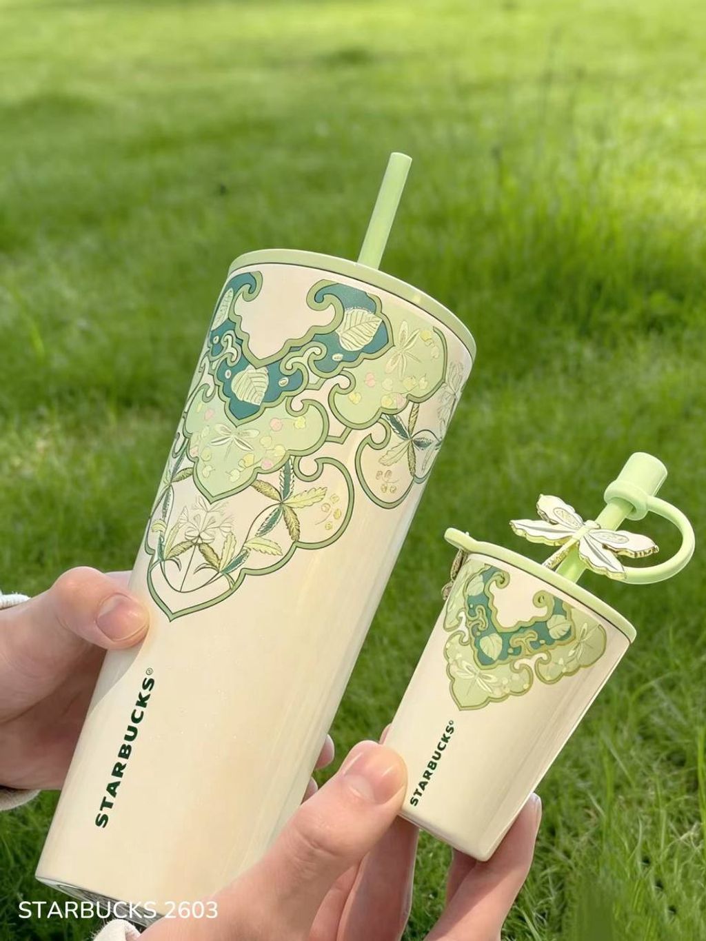 photo_3_2026-03-27_12-22-28