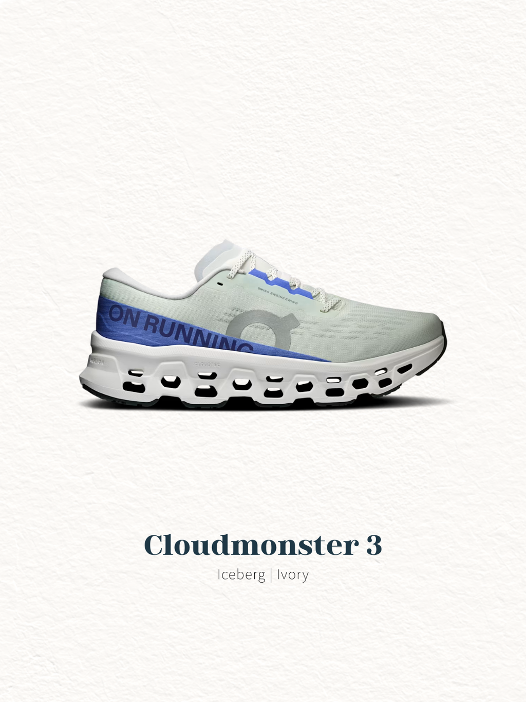 Cloudmonster 3 (7)