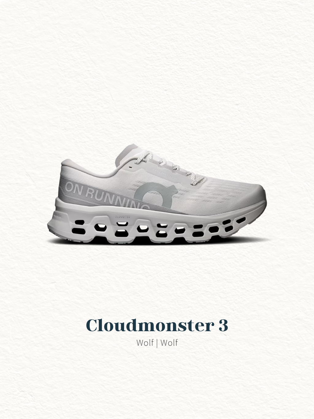 Cloudmonster 3 (2)