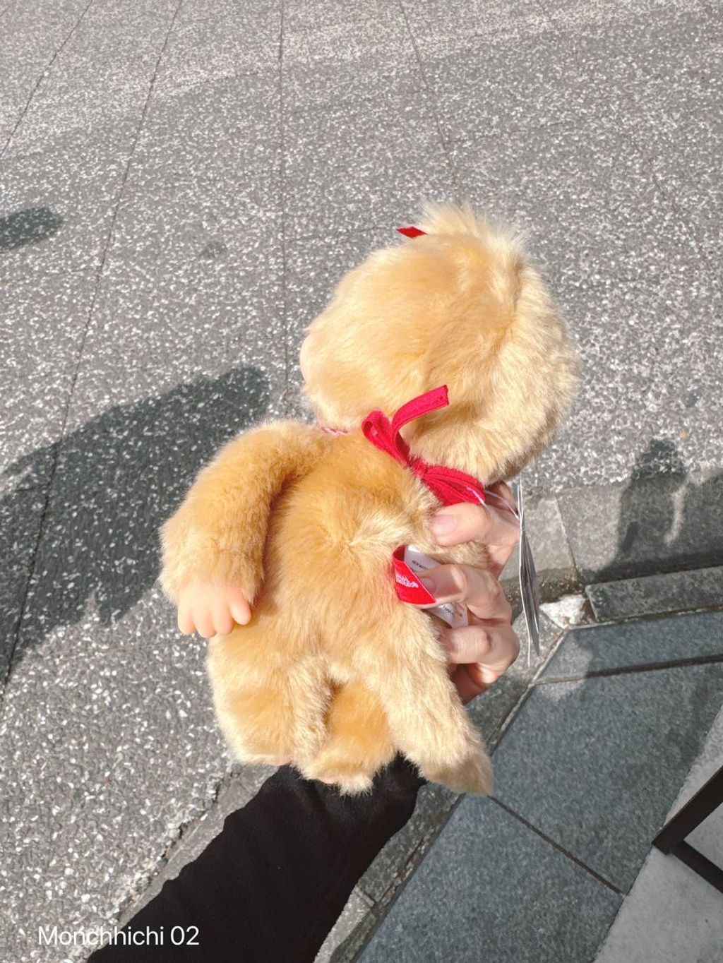 photo_3_2026-04-18_21-05-37