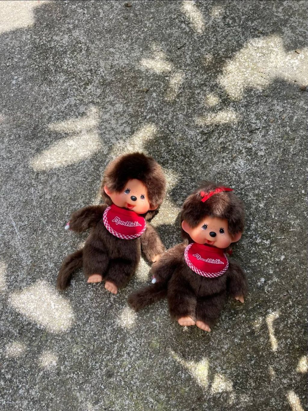 photo_11_2026-04-18_21-06-37