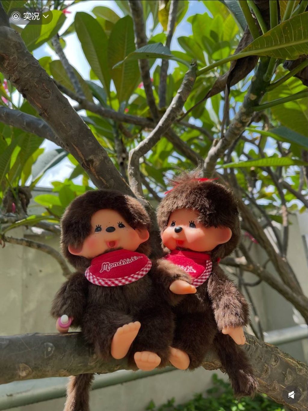 photo_13_2026-04-18_21-06-37