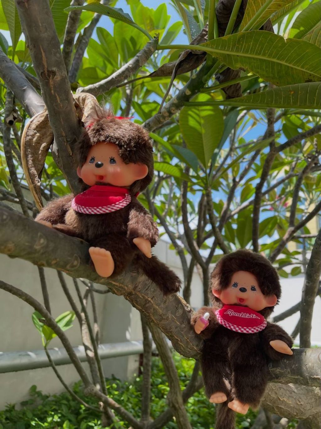 photo_12_2026-04-18_21-06-37