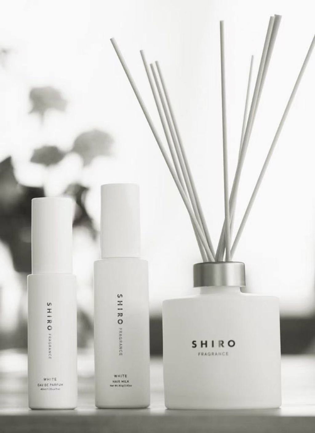 photo_2_2026-04-19_22-25-48