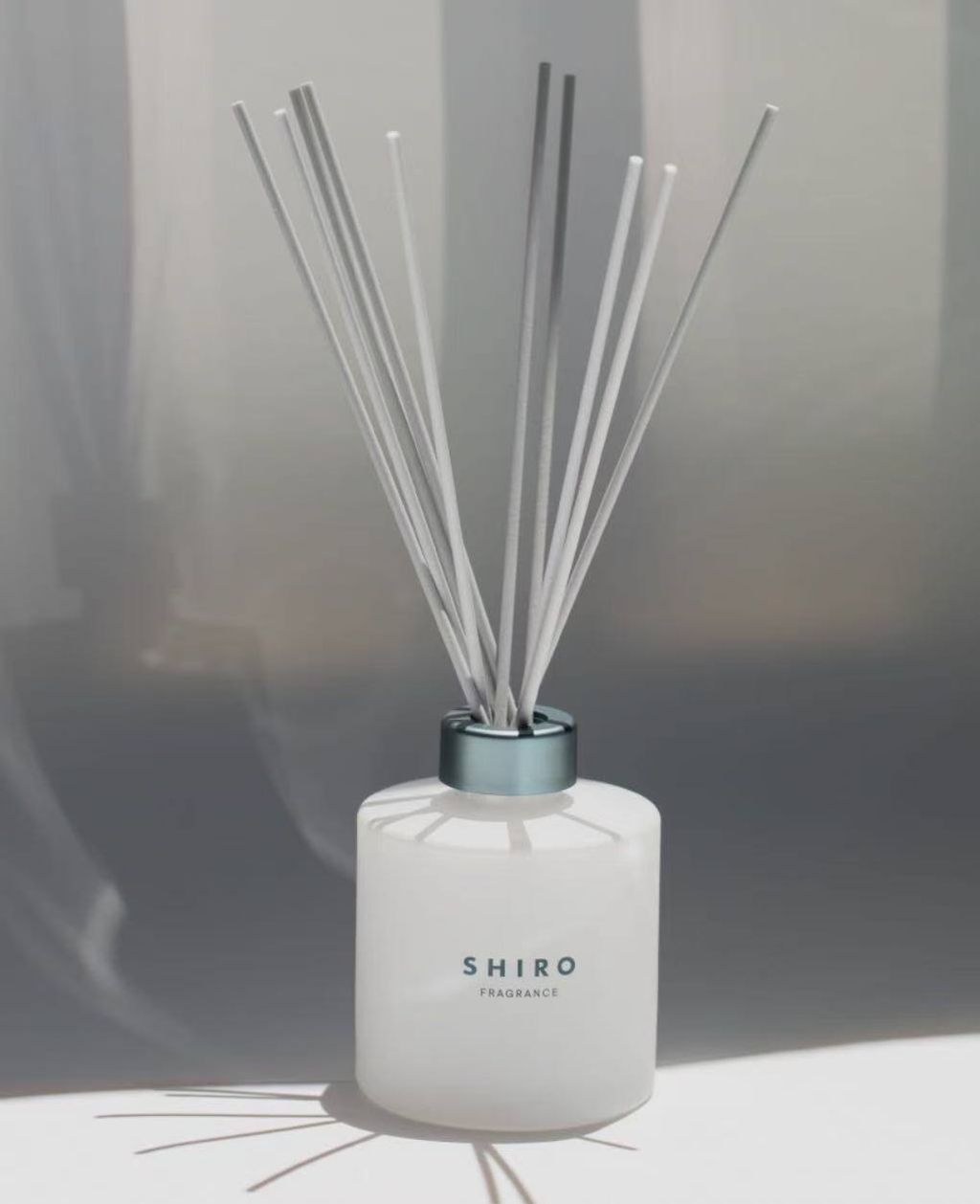 photo_1_2026-04-19_22-25-48