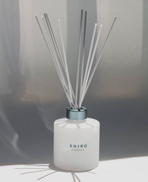 photo_1_2026-04-19_22-25-48