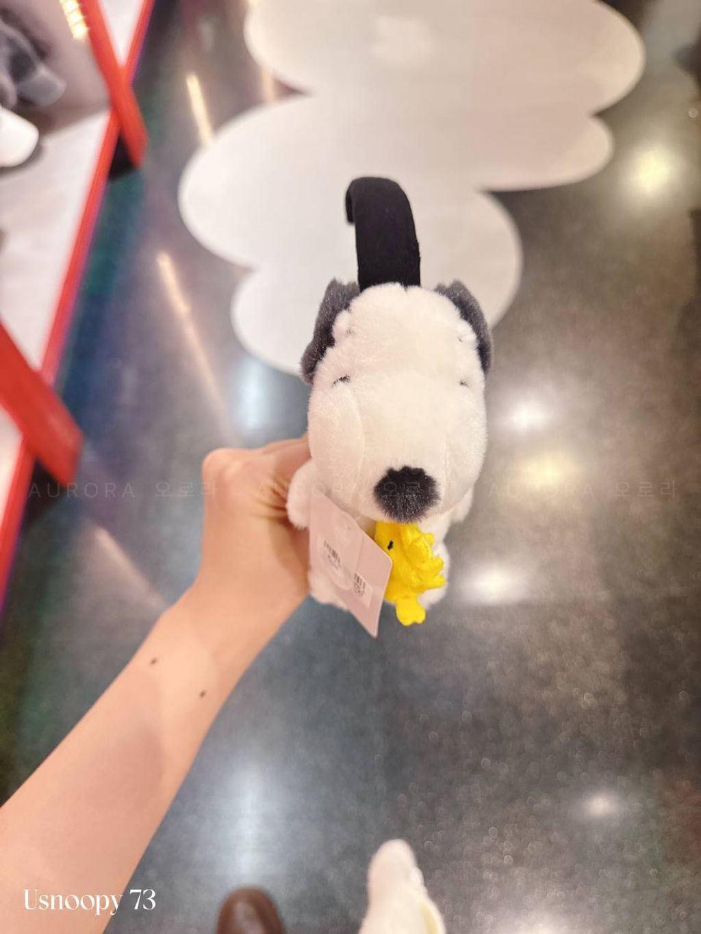 photo_3_2026-04-20_20-43-26