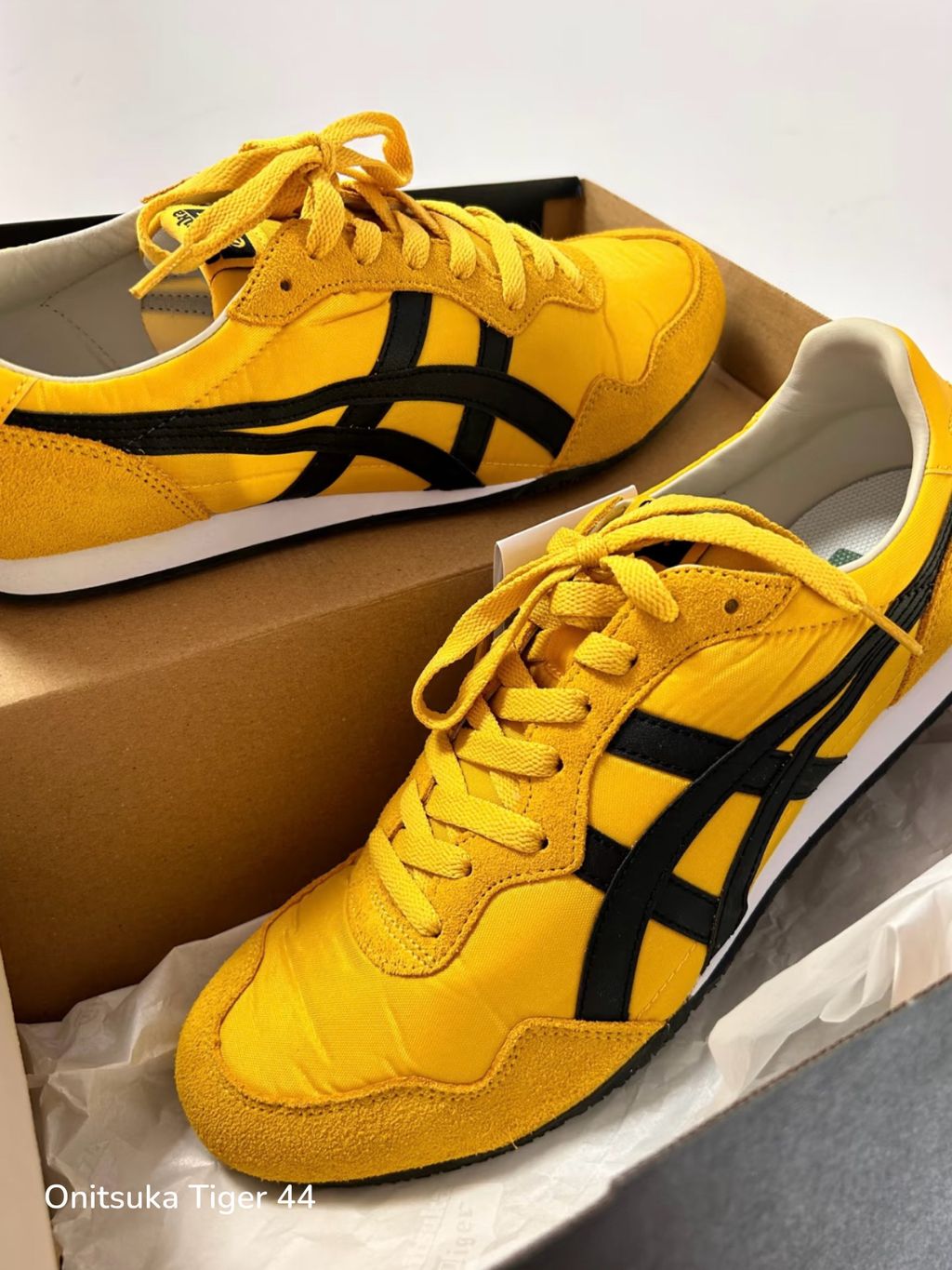 image_B0B8487B-B257-46F1-AA72-FA5BC5E8D6B8_1777092662