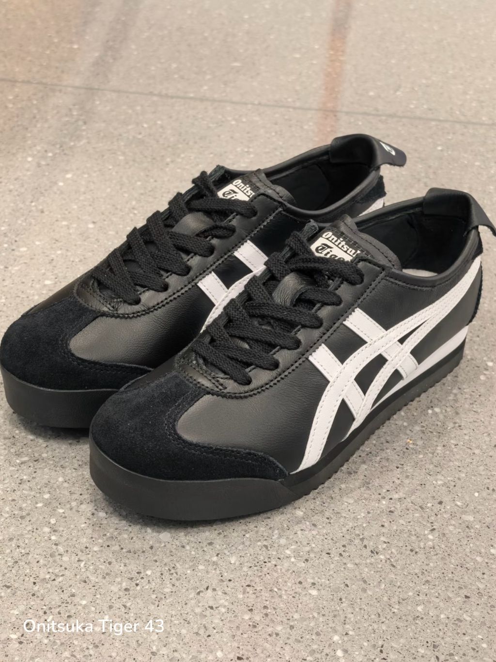 image_6E5E9F80-C6D5-421A-9C66-E97BAC5B162B_1777094627