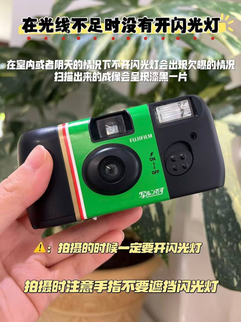 photo_13_2026-04-25_21-48-58