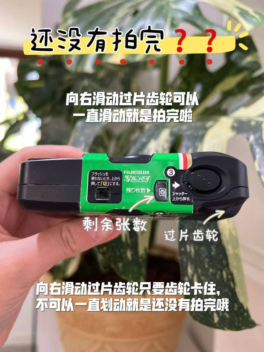 photo_14_2026-04-25_21-48-58