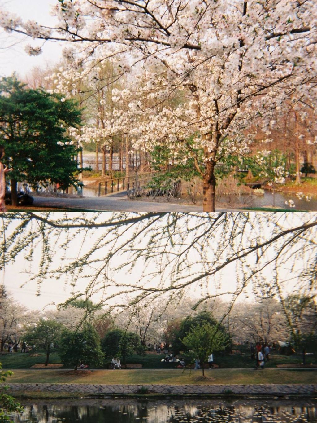 photo_5_2026-04-25_21-53-47