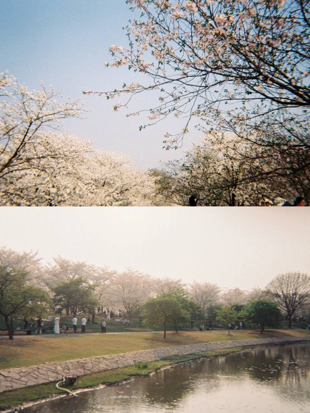 photo_8_2026-04-25_21-53-47