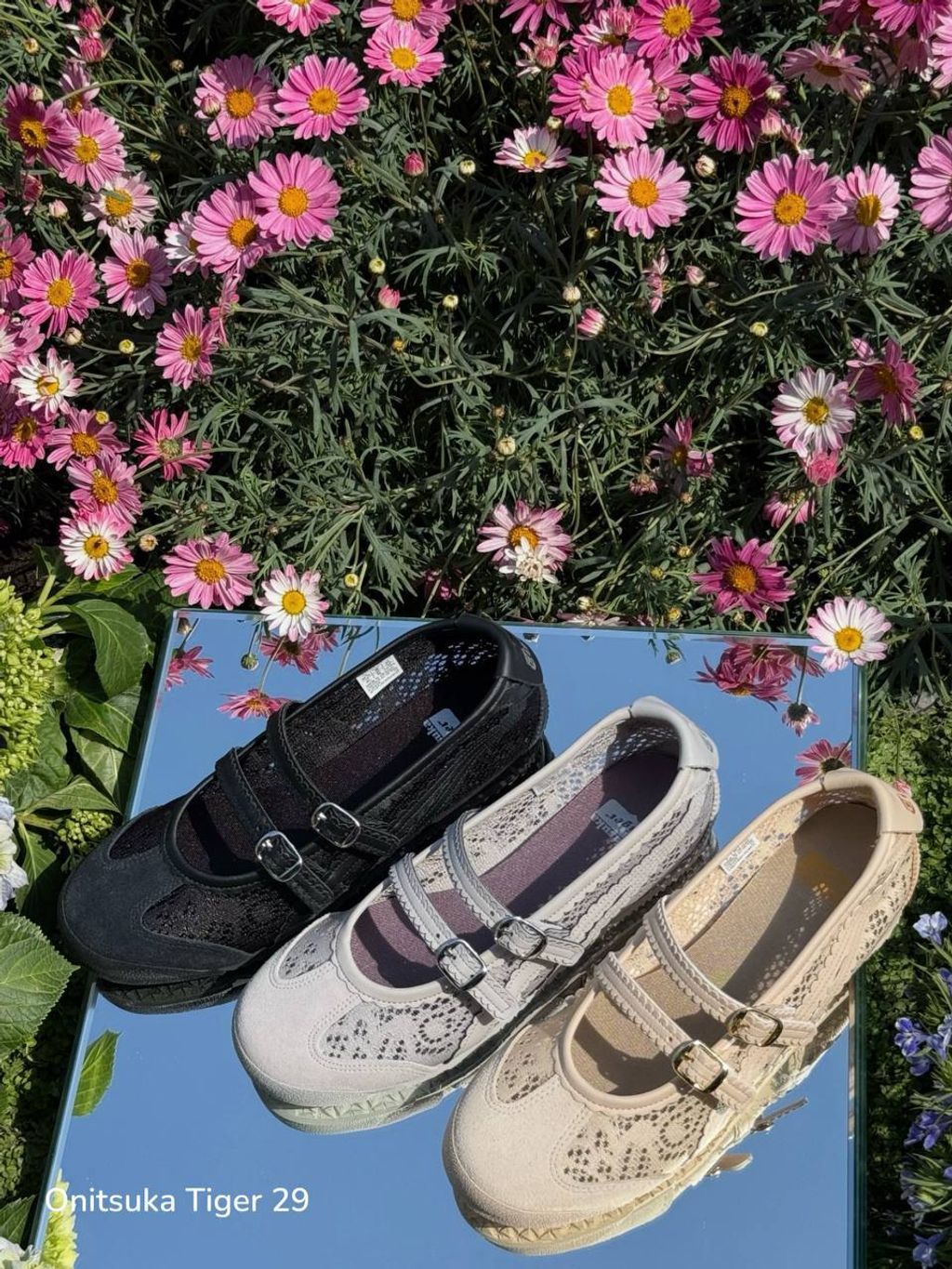 photo_4_2026-04-26_11-43-15