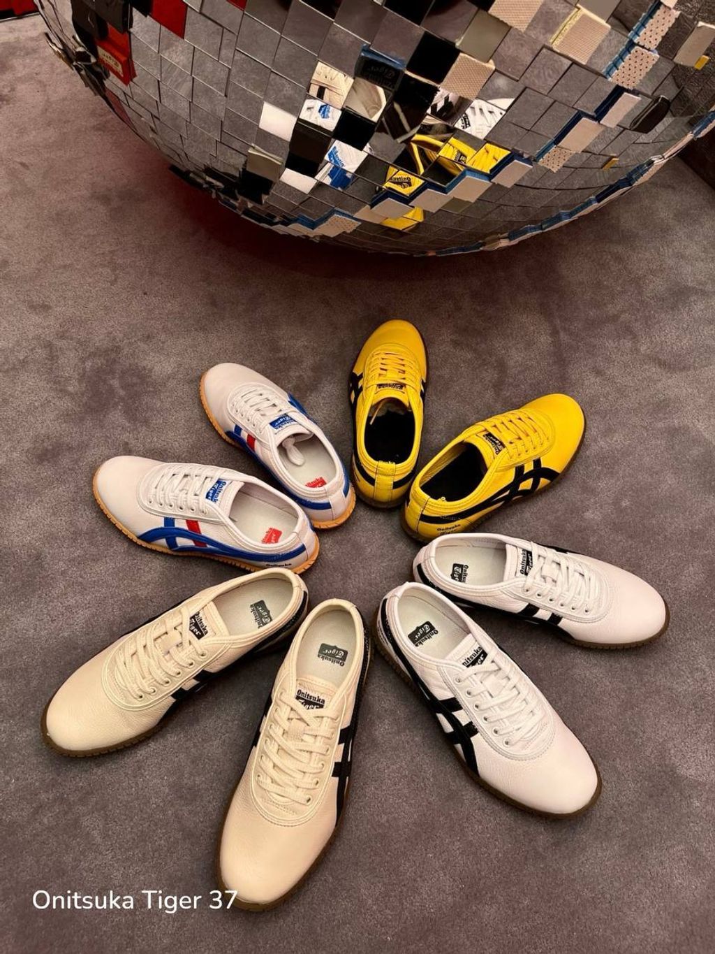 photo_11_2026-04-26_13-38-46