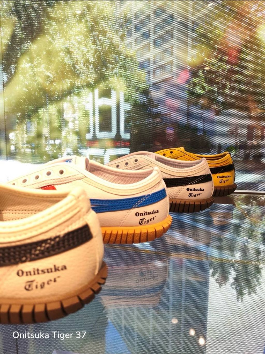 photo_12_2026-04-26_13-38-46