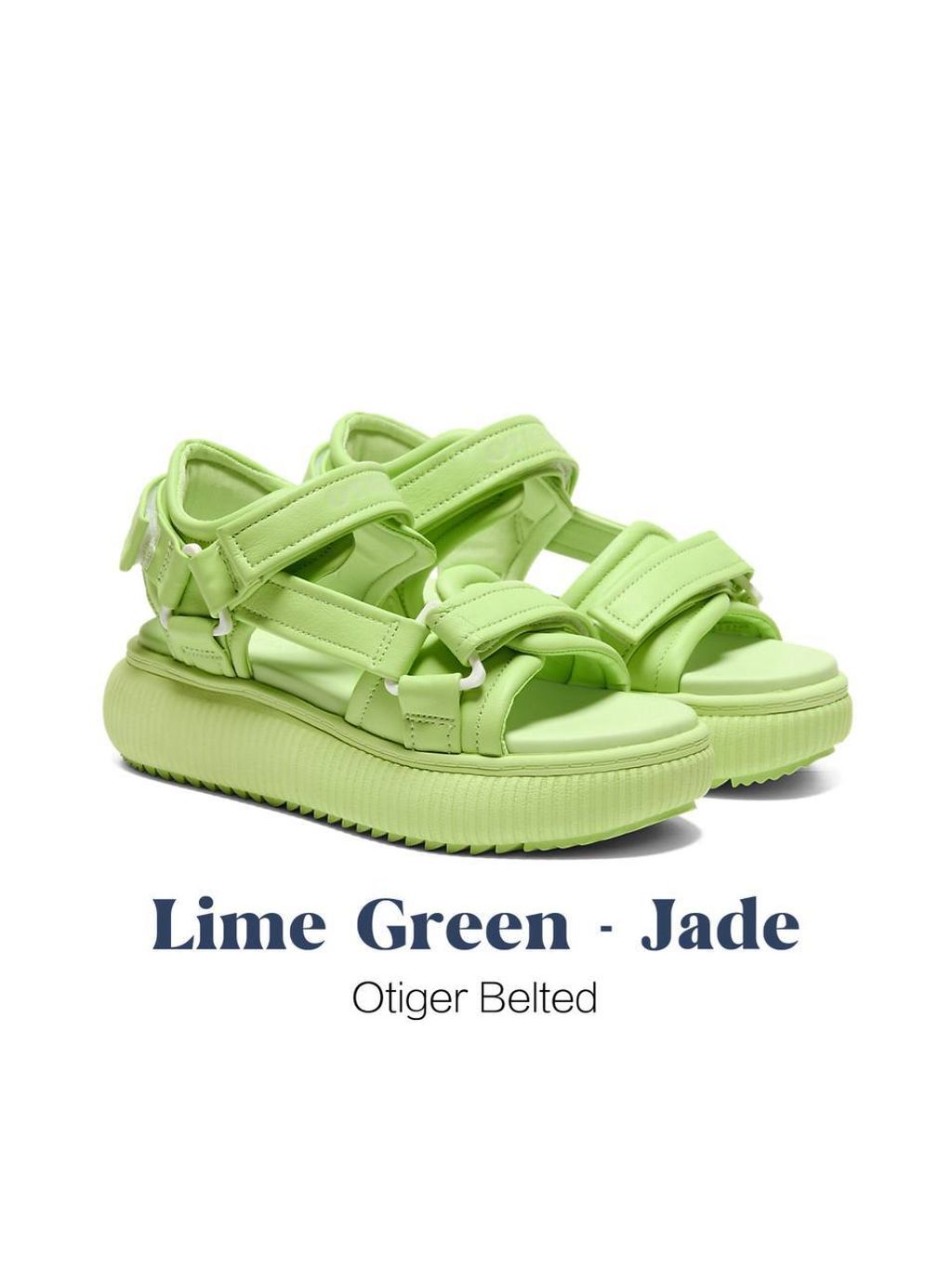 photo_3_2026-04-26_13-41-12