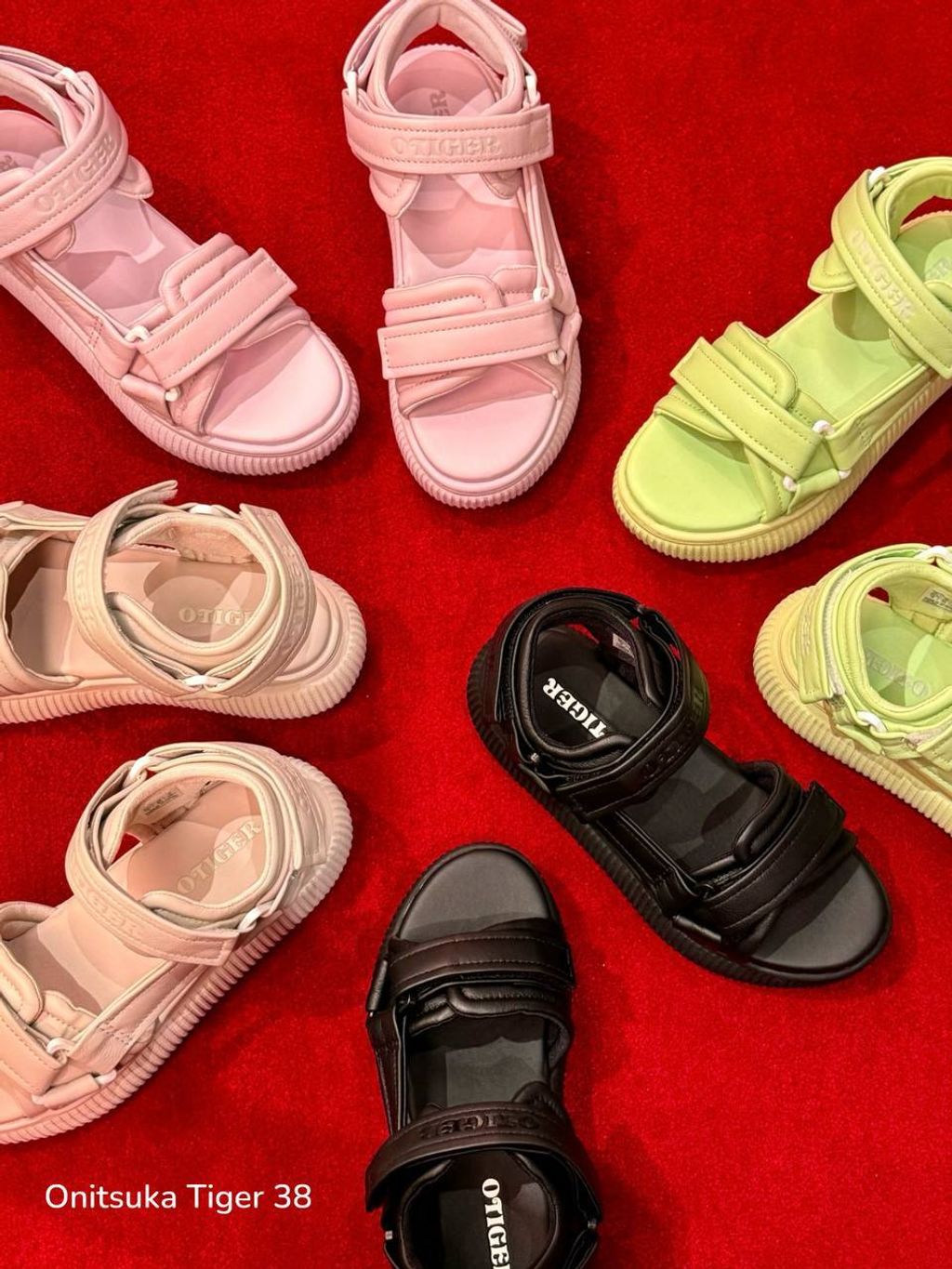 photo_7_2026-04-26_13-41-12