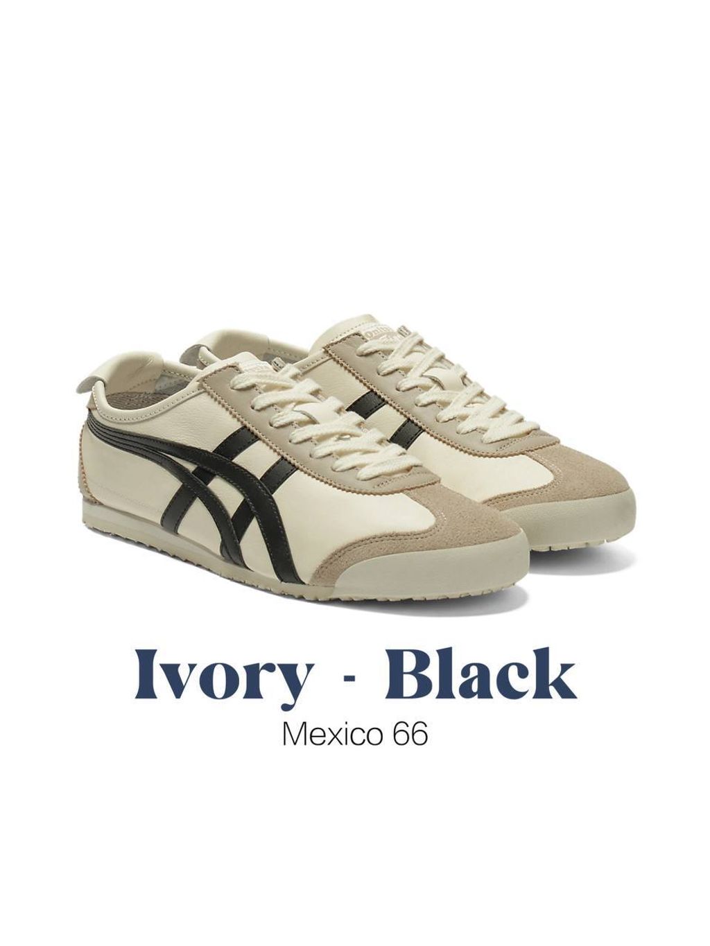 photo_9_2026-04-26_14-01-31