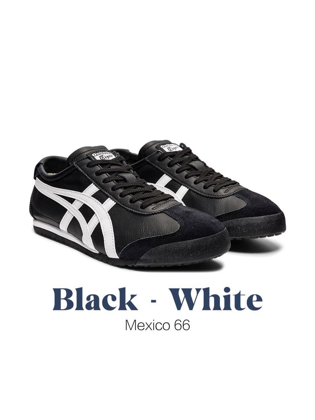 photo_1_2026-04-26_14-01-31