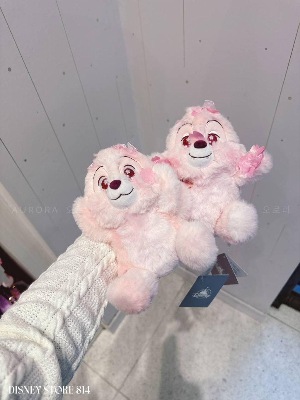 photo_1_2026-04-27_12-01-01