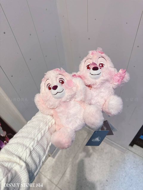 photo_1_2026-04-27_12-01-01