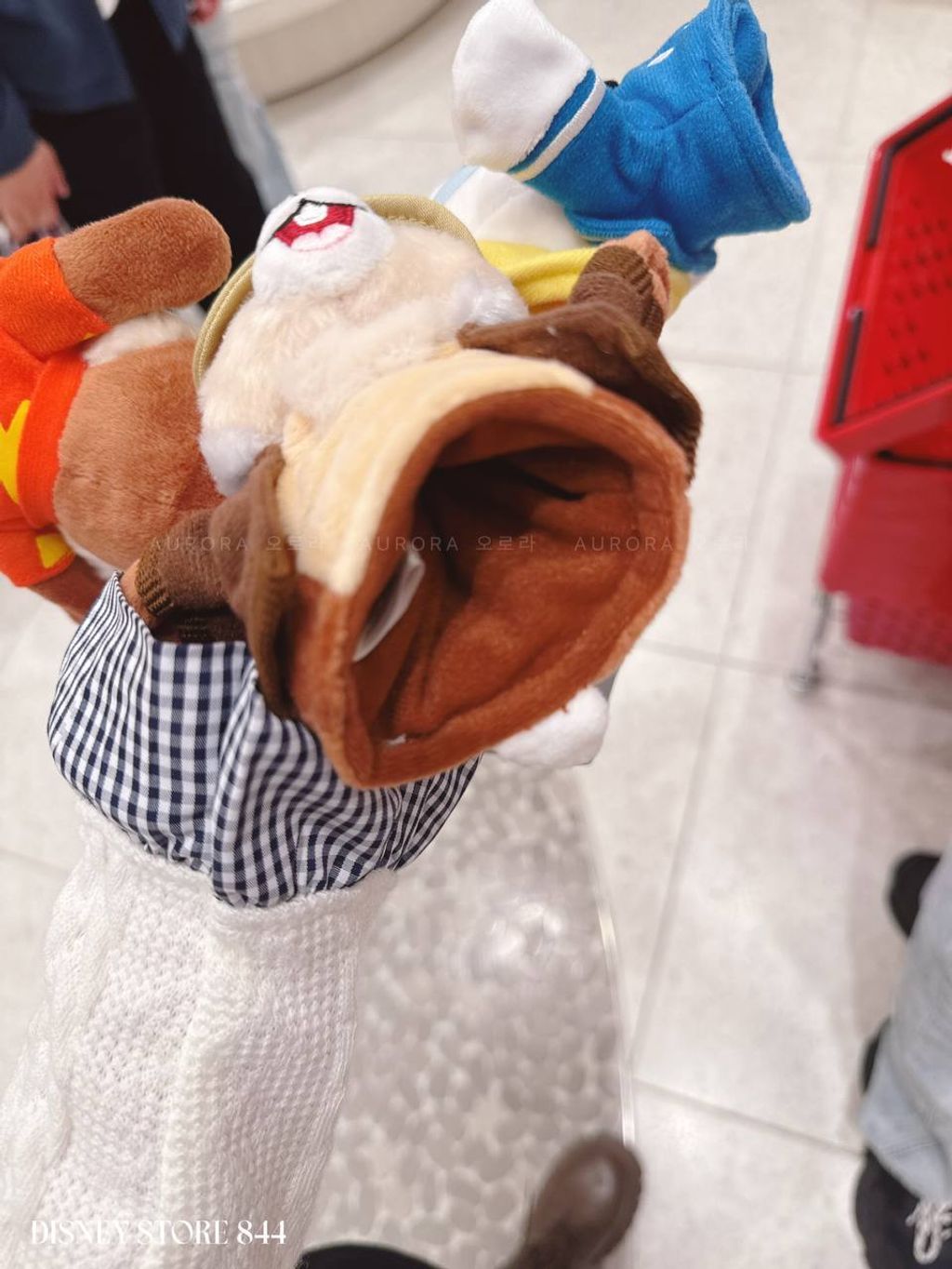 photo_3_2026-04-27_13-08-07