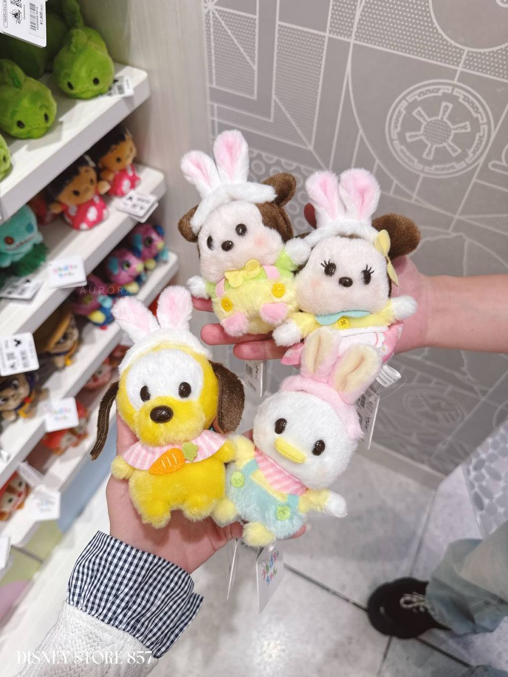 photo_2_2026-04-27_13-24-12