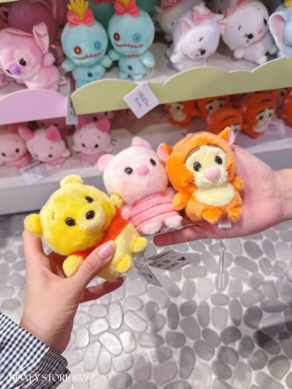 photo_7_2026-04-27_13-25-56