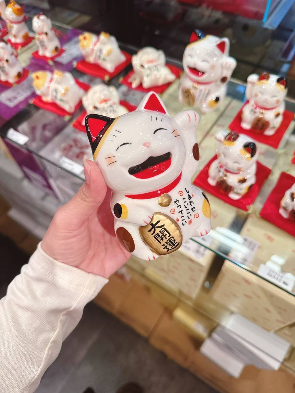 photo_1_2026-04-28_13-12-59