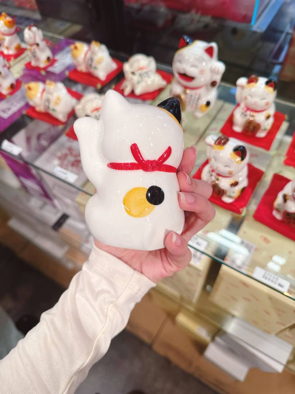 photo_2_2026-04-28_13-12-59