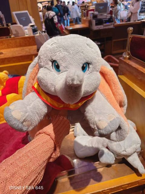 photo_1_2026-04-29_10-54-25