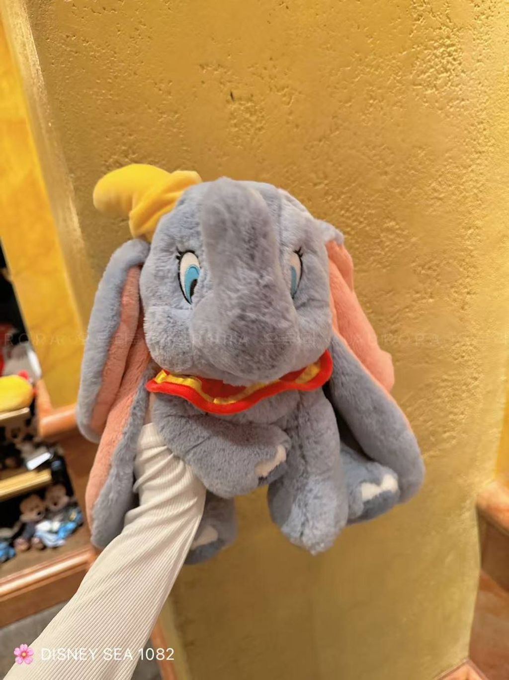 photo_1_2026-04-29_13-40-23